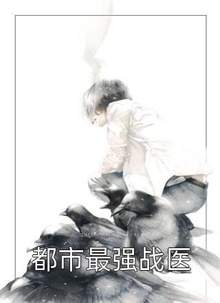 再无风雨再无你小说宋书意池邵